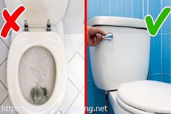 Bồn cầu bị đầy nước do hầm cầu bị đầy