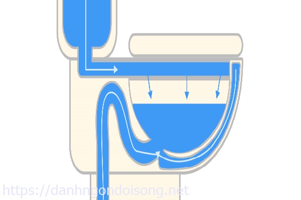 Bồn cầu bị đầy nước do thi công hoặc thiết kế sai kỹ thuật