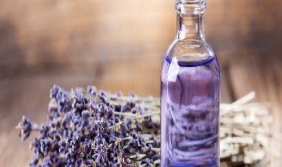 Cách xử lý mùi ẩm mốc trong phòng kín bằng nguyên liệu tự nhiên