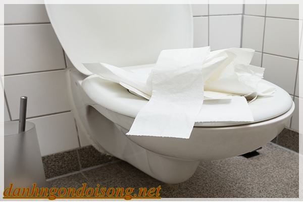 Bồn cầu đầy nước do bạn sử dụng quá nhiều giấy vệ sinh