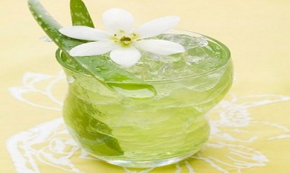 Nha đam sự lựa chọn về sức khỏe