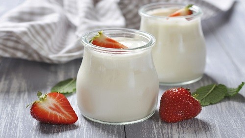 Sữa chua là nguồn cung cấp protein dồi dào