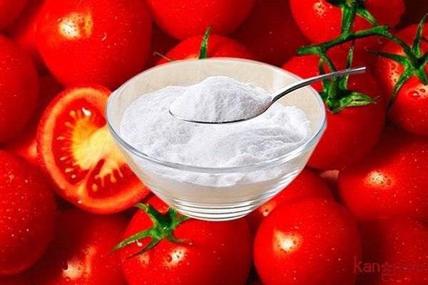 Baking soda và nước cà chua giúp làm se khít lỗ chân lông