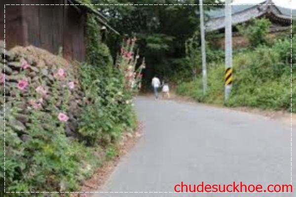 Du lịch làng tranh nổi tiếng nhất của xứ sở kim chi