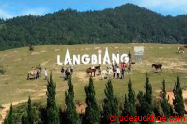 Du lịch Núi Lang Biang