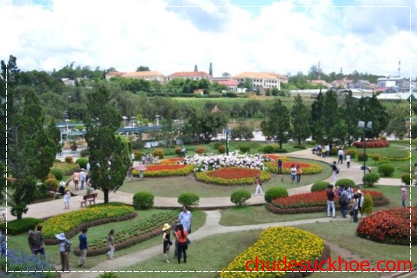 Du lịch Đà Lạt ở công viên hoa