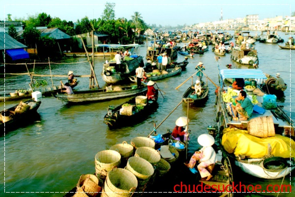 Du lịch Việt Nam tại Mỹ Tho - Cần Thơ