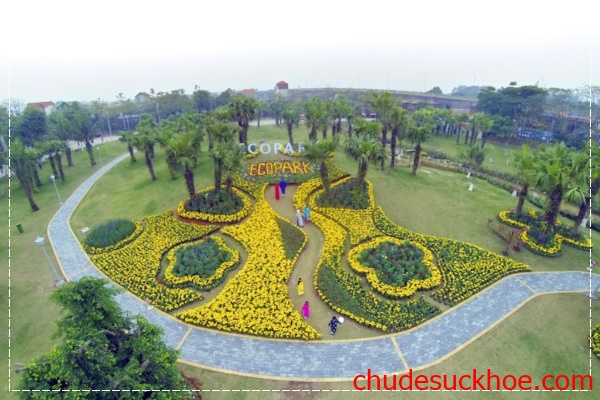 Du lịch Đà Lạt tuyệt đẹp