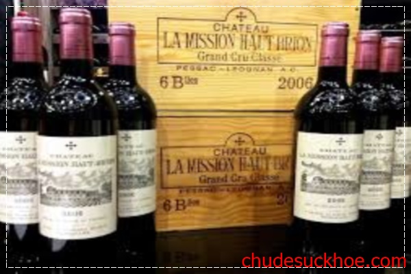 du lịch pháp ở vùng rượu vang Bordeaux