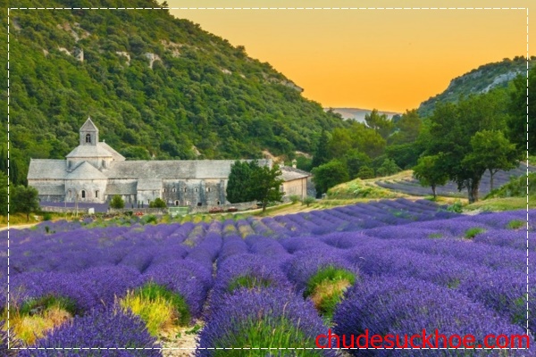 du lịch pháp ở Provence