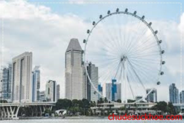 Du lịch tham quan Flyer Singgapore