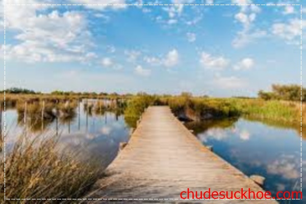 du lịch pháp tuyệt vời