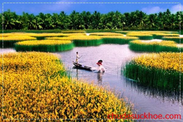 Du lịch Việt Nam tại Đồng bằng sông Cửu Long