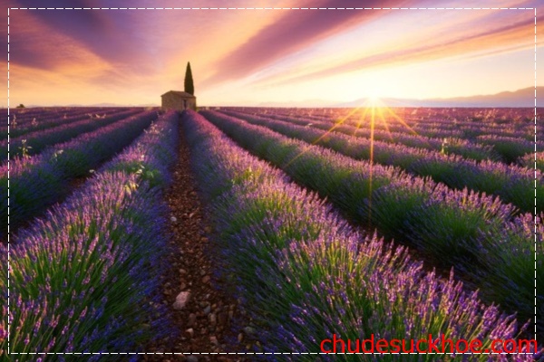 Du lịch tìm hiểu văn hóa Pháp