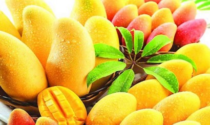 Giảm cân kỷ lục với xoài