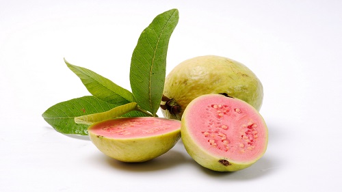 Ổi là một kho dinh dưỡng mà thiên nhiên ban tặng