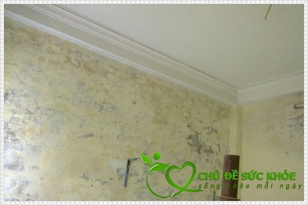 Bước Xử lý tường cũ khi sơn nhà