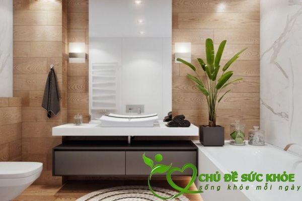 đặt cây cối trong nhà vệ sinh