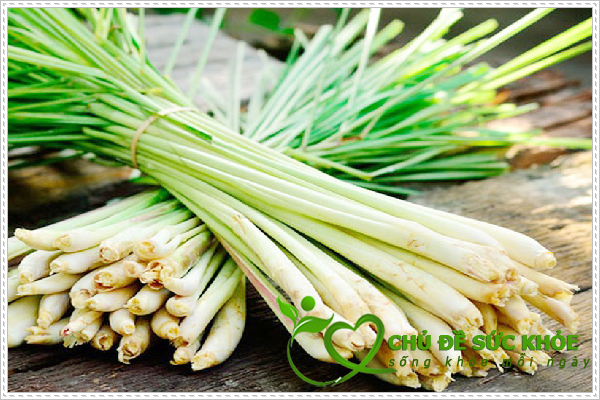 khử mùi hôi nhà cầu bằng sả