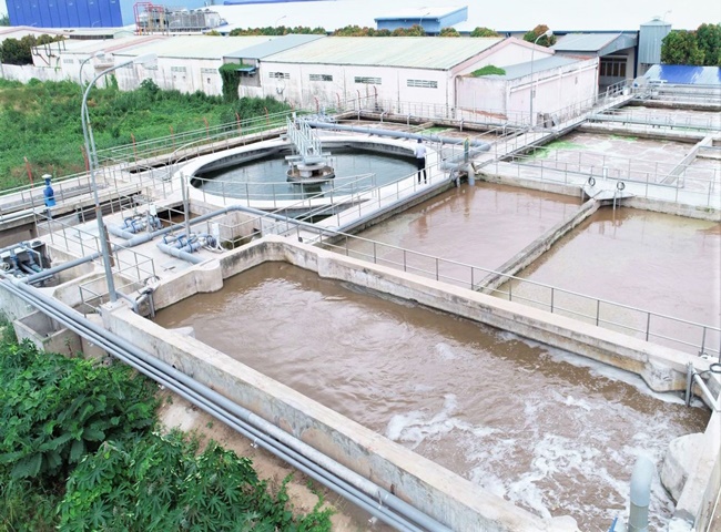 quy trình nuôi cấy bùn vi sinh