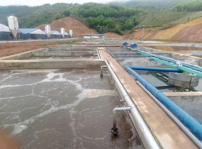 huong dan nuoi bun vi sinh