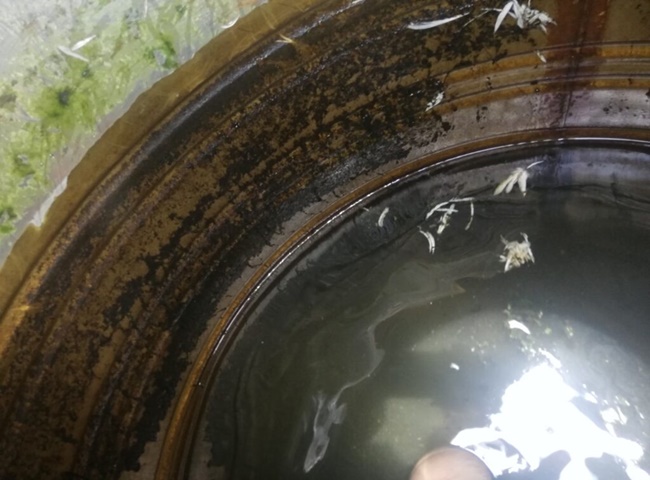 Công ty Vệ sinh bồn nước quận 11