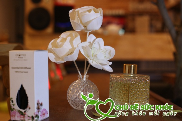 khử mùi hôi nhà hàng hiệu quả