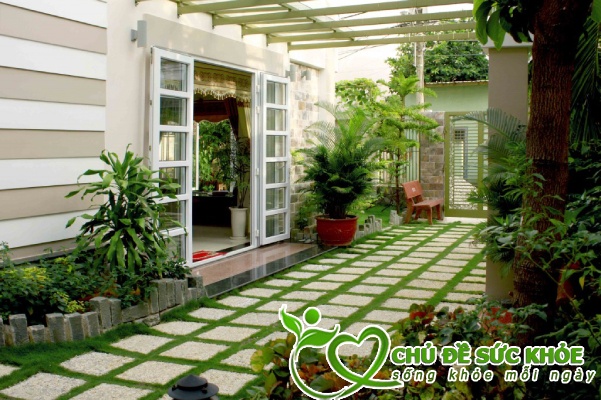 khử mùi hôi quanh nhà nhanh chóng