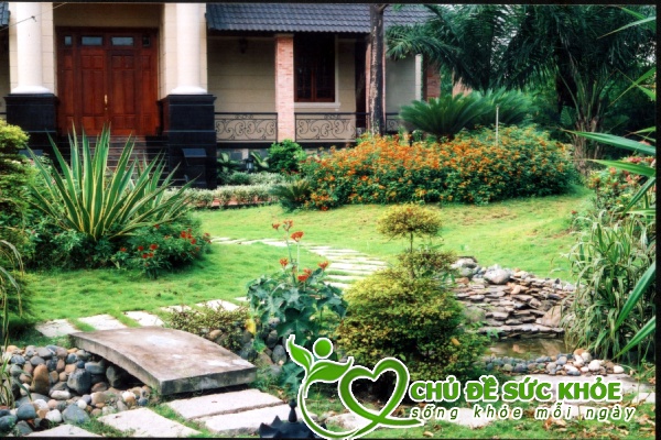 cách khử mùi hôi quanh nhà