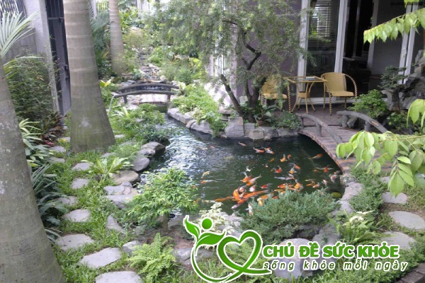 vệ sinh hồ nước sạch sẽ