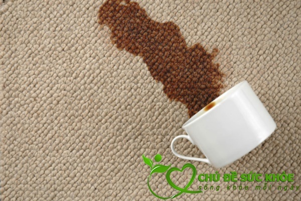 vệ sinh vết bẩn trên thảm trong phòng khách
