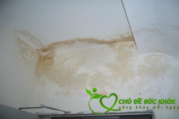 cách vệ sinh trần nhà nhanh chóng