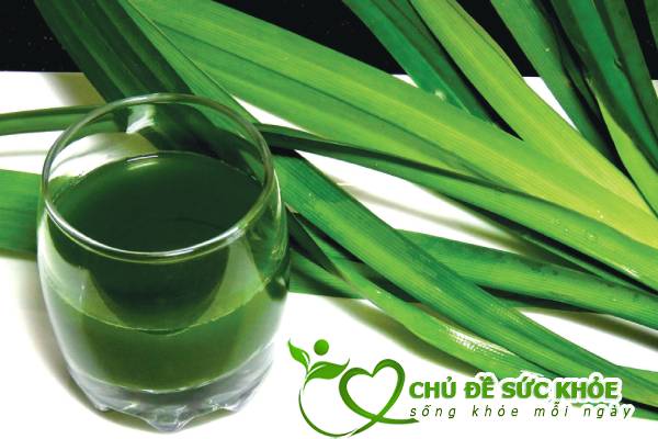 khử mùi hôi nhà vệ sinh chung cư tốt nhất