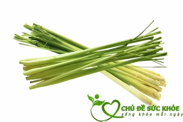 khử mùi hôi nhà vệ sinh bằng sả