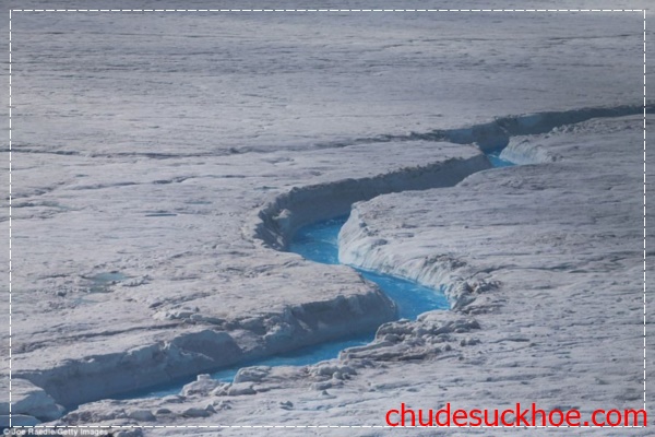 Ảnh hưởng của hiện tượng băng tan