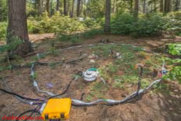 Dụng cụ thí nghiệm đo lường số liệu khí thải Carbon