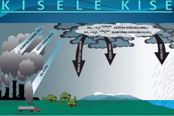 Sự hình thành mưa acid từ tác động từ khói nhà máy