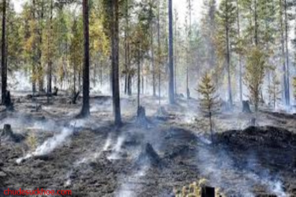 Hiệu ứng nhà kính ảnh hưởng xung quanh