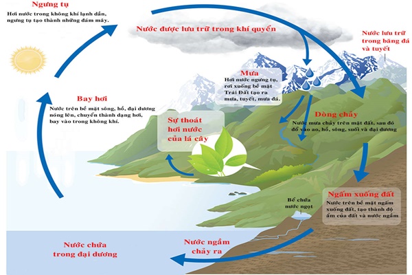 Sự hình thành của mưa.