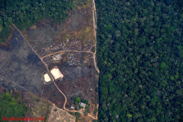 Khí hậu toàn cầu nóng lên