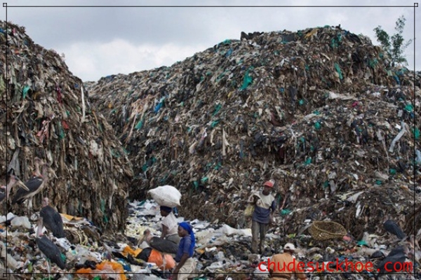 Rác thải từ các khách sạn nhà hàng cũng ảnh hưởng rất nhiều