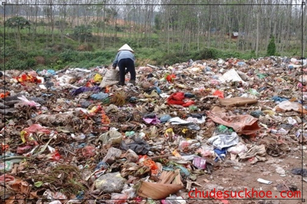 Nguồn ô nhiễm từ ý thức con người