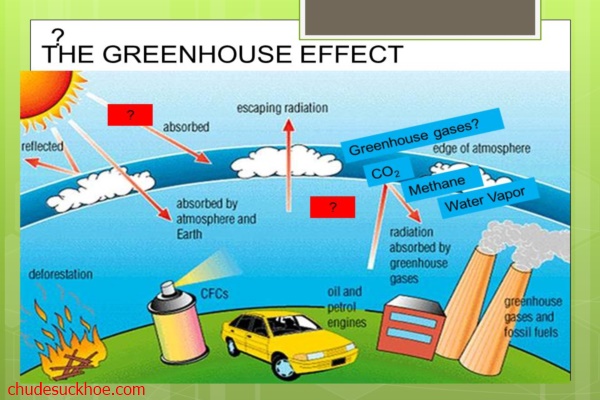 nguyên nhân gây hiệu ứng nhà kính