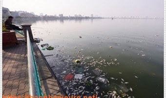 Tình trạng ô nhiễm kênh rạch tại tp Hồ Chí Minh