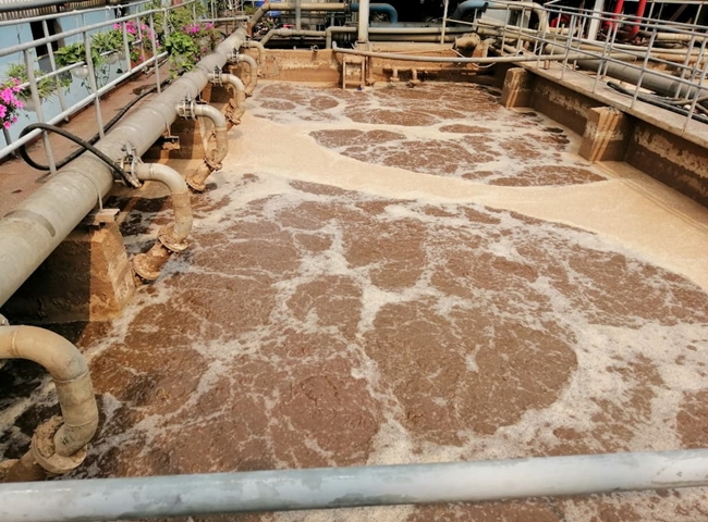 mua bùn vi sinh chất lượng