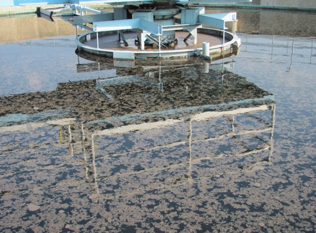 mua bùn vi sinh xử lý nước thải