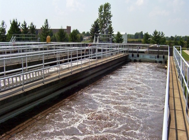 Bùn vi sinh trong xử lý nước thải