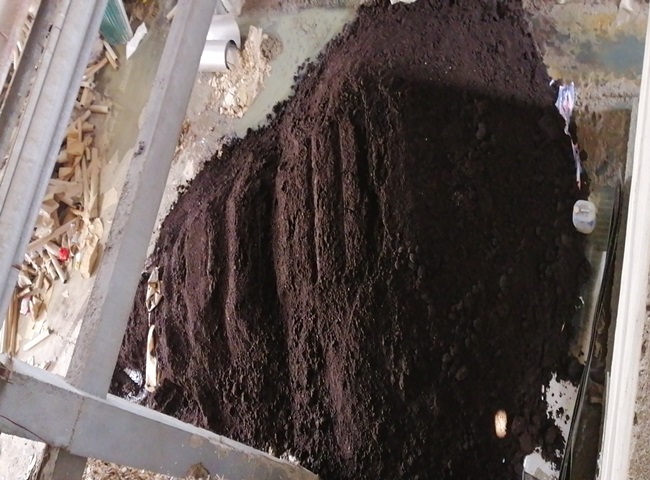 Bùn vi sinh trong xử lý nước nước thải công nghiệp