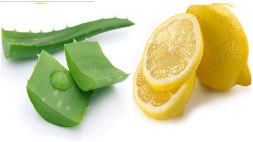 Chanh kết hợp với nha đam trị rụng tóc rất hiệu quả