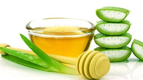 Công thức trị rụng tóc bằng nha đam và mật ong
